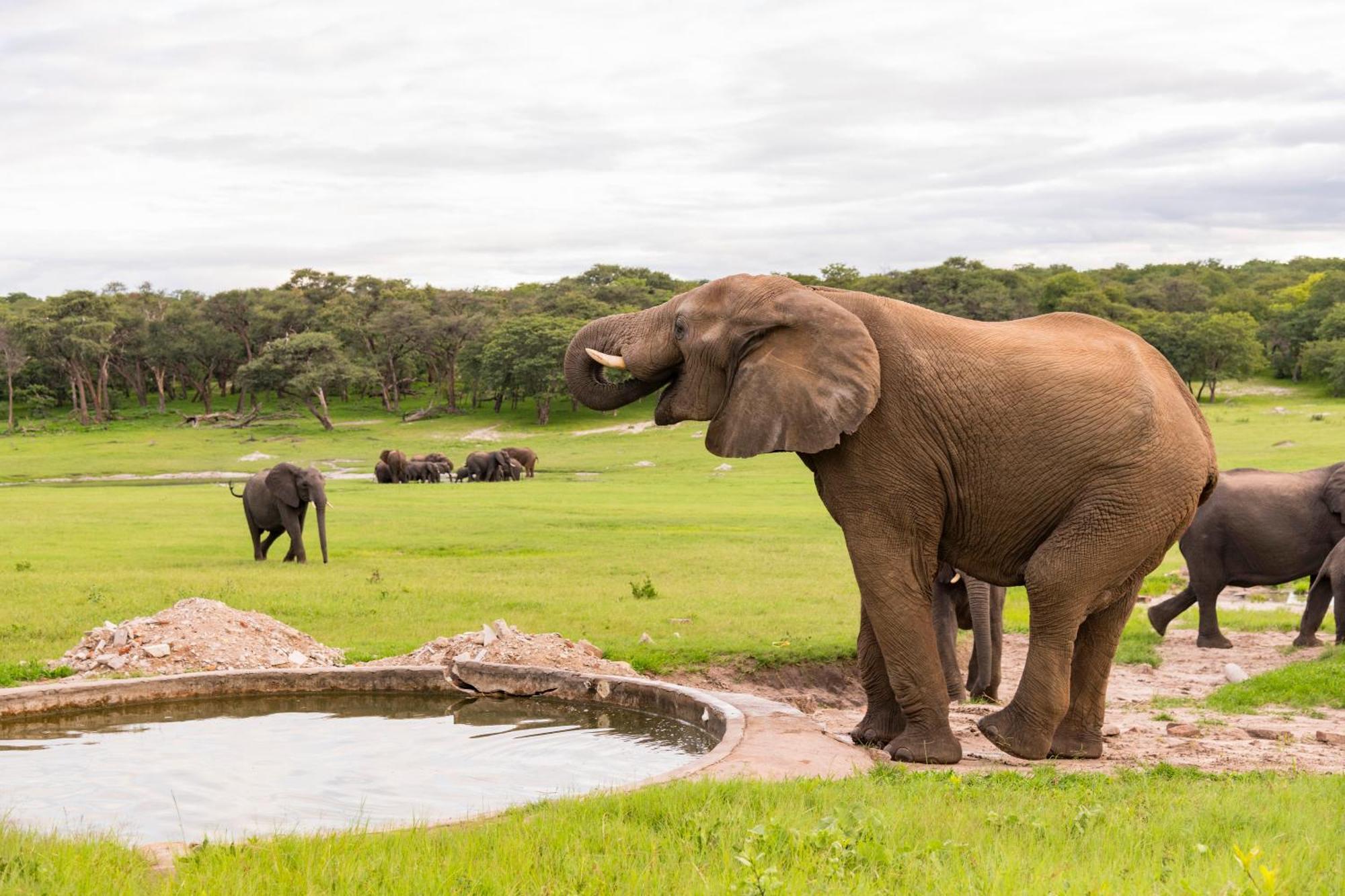 Hwange Safari Lodge Dete Ngoại thất bức ảnh