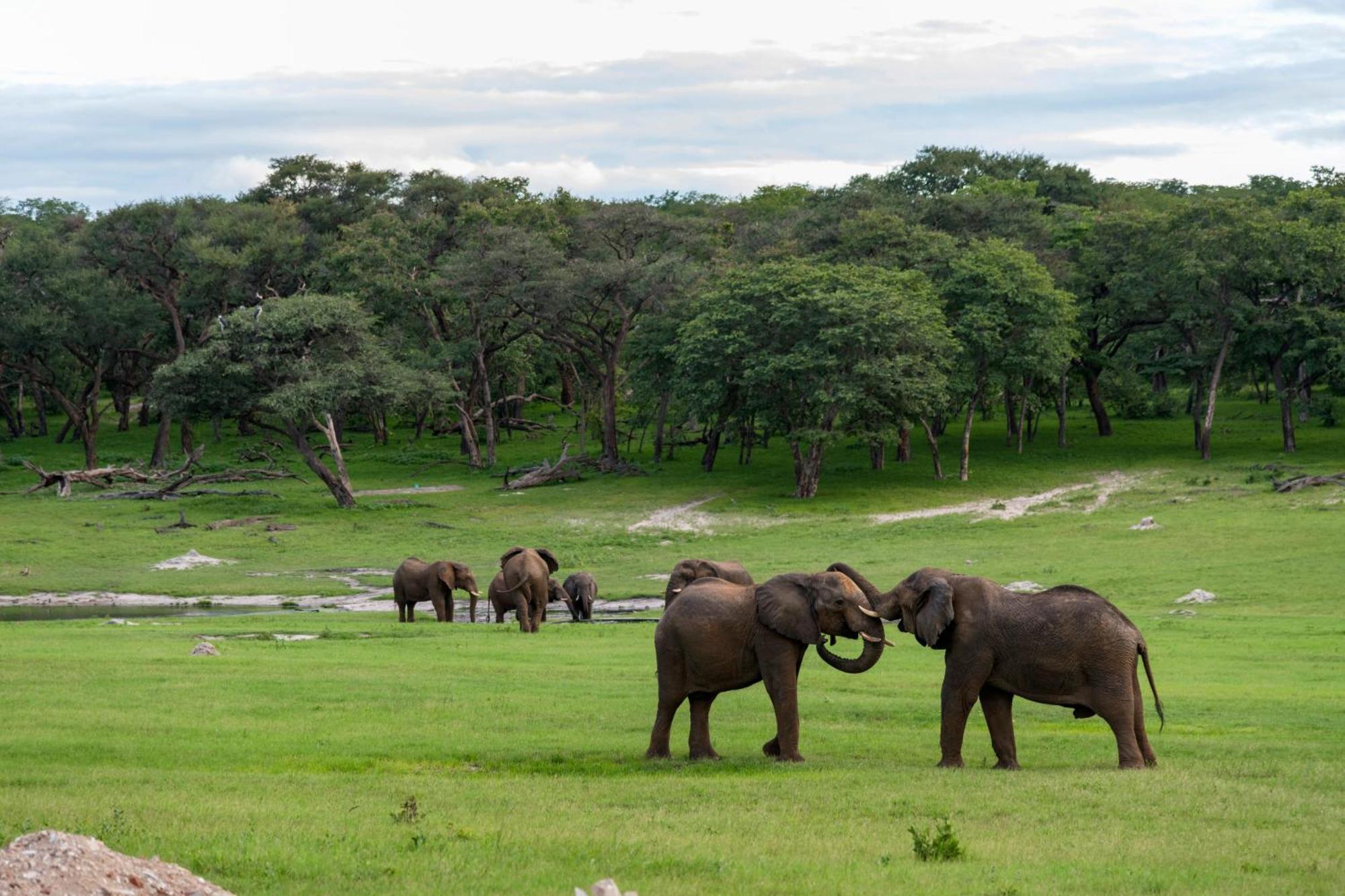Hwange Safari Lodge Dete Ngoại thất bức ảnh